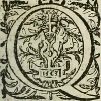 An illustration from Opera Ioan. Goropii Becani, hactenus in lucum non edita: nempe, Hermathena, Heiroglyphica, Vertumnus, Gallica, Francica, Hispanica (1580)
