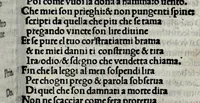 Picture 6 of 12 from Opera noua del preclarissimo messer Bernardo Accolti Aretino, scriptore apostolico & abreuiatore : zoe, soneti, capitoli, strãmoti, & vna comedia : con dui capitoli, vno in laude dela Madonna Laltro de la Fede (1519), leaf 47
