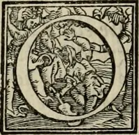 An illustration from Opera nvova di fortificare, offendere et difendere : et far gli alloggiamenti campali, secondo l'uso di guerra : aggiontovi nel fine vn trattato de gl'essamini de' bombardieri, & di far fuochi arteficiati : cosa molto vtile e dilettevole (1564)
