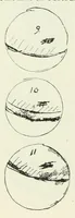 An illustration from Opera omnia, edidit I.L.E. Dreyer (1913)