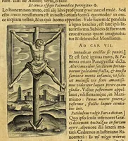 An illustration from Opera omnia, septem tomis distincta, postremum aucta & recognita (1614)