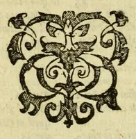 Picture 30 of 43 from Opera omnia, septem tomis distincta, postremum aucta & recognita (1614), leaf 468