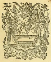Picture 35 of 43 from Opera omnia, septem tomis distincta, postremum aucta & recognita (1614), leaf 581