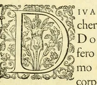 Picture 37 of 43 from Opera omnia, septem tomis distincta, postremum aucta & recognita (1614), leaf 585