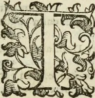 An illustration from Opera. Quibus adiecimus eiusdem authoris opuscula, non minus, quàm cetera omnia, & aurea, & diuinissima .. (1616)