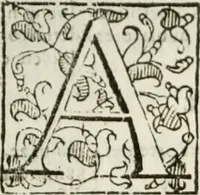 An illustration from Opera. Quibus adiecimus eiusdem authoris opuscula, non minus, quàm cetera omnia, & aurea, & diuinissima .. (1616)