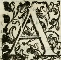 An illustration from Opera. Quibus adiecimus eiusdem authoris opuscula, non minus, quàm cetera omnia, & aurea, & diuinissima .. (1616)