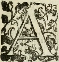 An illustration from Opera. Quibus adiecimus eiusdem authoris opuscula, non minus, quàm cetera omnia, & aurea, & diuinissima .. (1616)