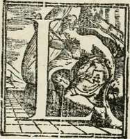 An illustration from Opera (1570)