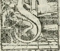 An illustration from Opera (1570)