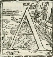 An illustration from Opera (1570)