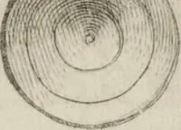 An illustration from Opera (1570)