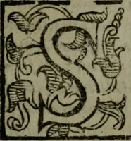 An illustration from Opere ... cioè, Flagello, Fulmine, & Melampigo, contro de' medici putatitii rationali (1626)