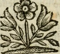An illustration from Opere del conte Bernardo Morando, nobile genovese, diuise in quattro tomi .. (1662)