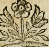 An illustration from Opere del conte Bernardo Morando, nobile genovese, diuise in quattro tomi .. (1662)