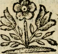 An illustration from Opere del conte Bernardo Morando, nobile genovese, diuise in quattro tomi .. (1662)
