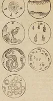 Picture 5 of 43 from Opere di Galileo Galilei ... (1656), leaf 220