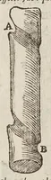 An illustration from Opere di Galileo Galilei ... (1656)