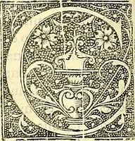 Picture 6 of 47 from Operum D. Basilij Magni Caesariae Cappadociae quondam archiepiscopi prior tomus : cuius par multò melior nunc demum solerti industria nec minùs accurata collatione ad fidem Graecorum aliquot archetypon partim restituta est synceriori quàm hactenus lectioni (1547), leaf 235