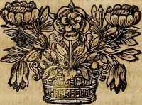 An illustration from Operum philosophicorum (1681)