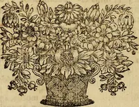 An illustration from Operum philosophicorum (1681)