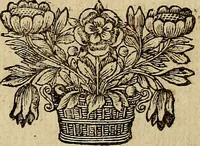 An illustration from Operum philosophicorum (1681)