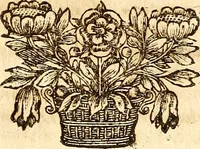 An illustration from Operum philosophicorum (1681)