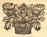 An illustration from Operum philosophicorum (1681)