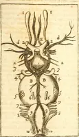 An illustration from Operum philosophicorum (1681)