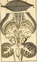 An illustration from Operum philosophicorum (1681)