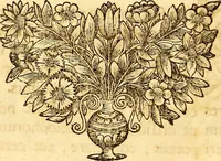 An illustration from Operum philosophicorum (1681)