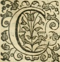An illustration from Opervm moralivm et civilivm tomus. Qui continet Historiam regni Henrici Septimi, regis Angliae. Sermones fideles, sive Interiora rerum. Tractatum de sapientia veterum. Dialogum de bello sacro. Et Novam Atlantidem. Ab ipso honoratissimo auctore, praeterquam in paucis, latinitate donatus (1638)