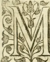 An illustration from Opervm moralivm et civilivm tomus. Qui continet Historiam regni Henrici Septimi, regis Angliae. Sermones fideles, sive Interiora rerum. Tractatum de sapientia veterum. Dialogum de bello sacro. Et Novam Atlantidem. Ab ipso honoratissimo auctore, praeterquam in paucis, latinitate donatus (1638)