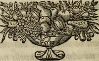 An illustration from O Phaenix da Lusitania, ou, Aclamaçam do serenissimo Rey de Portugal Dom Ioam IV. do nome : poema heroico (1649)