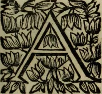 Picture 11 of 19 from O Phaenix da Lusitania, ou, Aclamaçam do serenissimo Rey de Portugal Dom Ioam IV. do nome : poema heroico (1649), leaf 134