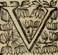 An illustration from O Phaenix da Lusitania, ou, Aclamaçam do serenissimo Rey de Portugal Dom Ioam IV. do nome : poema heroico (1649)