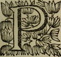 An illustration from O Phaenix da Lusitania, ou, Aclamaçam do serenissimo Rey de Portugal Dom Ioam IV. do nome : poema heroico (1649)