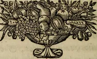 An illustration from O Phaenix da Lusitania, ou, Aclamaçam do serenissimo Rey de Portugal Dom Ioam IV. do nome : poema heroico (1649)
