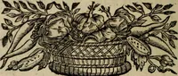 An illustration from O Phaenix da Lusitania, ou, Aclamaçam do serenissimo Rey de Portugal Dom Ioam IV. do nome : poema heroico (1649)