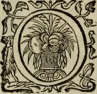 An illustration from O Phaenix da Lusitania, ou, Aclamaçam do serenissimo Rey de Portugal Dom Ioam IV. do nome : poema heroico (1649)