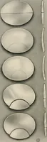 An illustration from Ophthalmic lenses and accessories; lenses, frames, magnifiers and readers .. (1916)