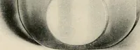Picture 63 of 84 from Ophthalmic lenses and accessories; lenses, frames, magnifiers and readers .. (1916), leaf 129