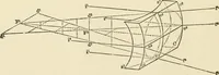 An illustration from Ophthalmic lenses, dioptric formulae for combined cylindrical lenses : the prism-dioptry, and other optical papers (1900)