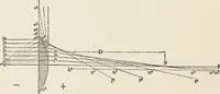 An illustration from Ophthalmic lenses, dioptric formulae for combined cylindrical lenses : the prism-dioptry, and other optical papers (1907)