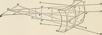 An illustration from Ophthalmic lenses, dioptric formulae for combined cylindrical lenses : the prism-dioptry, and other optical papers (1907)