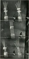 Picture 1 of 60 from Ophthalmic lenses, dioptric formulae for combined cylindrical lenses : the prism-dioptry, and other optical papers (1907), leaf 5