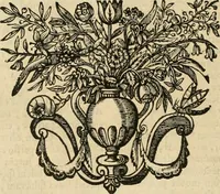 An illustration from Ophthalmographia : sive, Tractatio de oculo (1648)