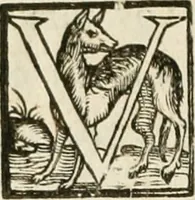 An illustration from Ophthalmographia : sive, Tractatio de oculo (1648)