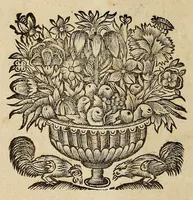 An illustration from Opra omnia, decem tomis distincta (1697)