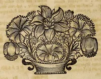 An illustration from Opra omnia, decem tomis distincta (1697)